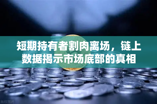 短期持有者割肉离场，链上数据揭示市场底部的真相