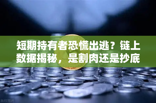 短期持有者恐慌出逃？链上数据揭秘，是割肉还是抄底时机？