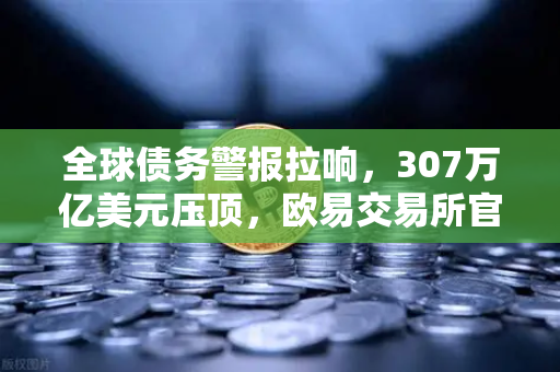 全球债务警报拉响，307万亿美元压顶，欧易交易所官网深度解析危机与机遇-第1张图片-欧易交易所
