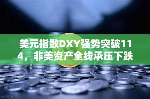 美元指数DXY强势突破114，非美资产全线承压下跌，投资者如何应对？