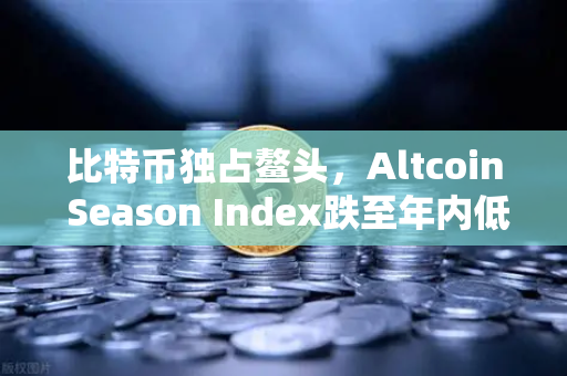 比特币独占鳌头，Altcoin Season Index跌至年内低点，资金抱团避险成主旋律
