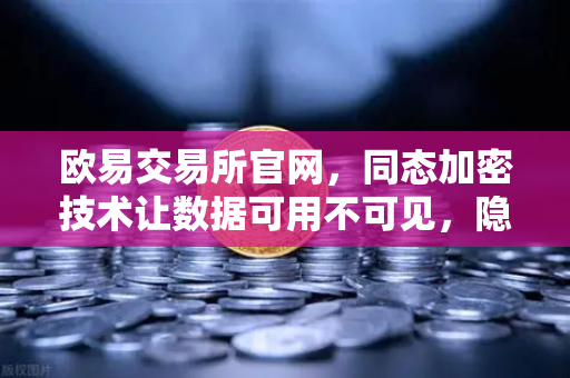 欧易交易所官网，同态加密技术让数据可用不可见，隐私计算如何重塑数字资产安全？