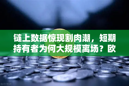 链上数据惊现割肉潮，短期持有者为何大规模离场？欧易交易所官网解读背后玄机