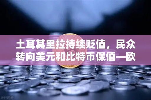 土耳其里拉持续贬值，民众转向美元和比特币保值—欧易交易所官网深度解析-第1张图片-欧易交易所