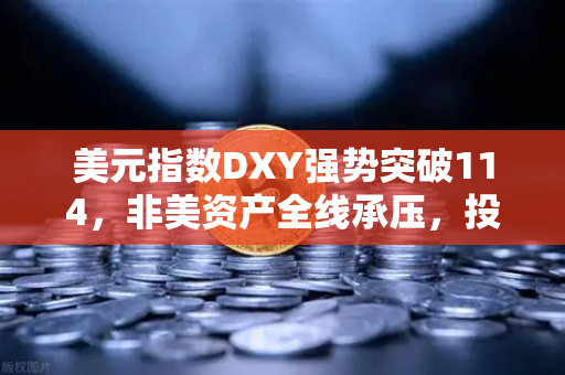 美元指数DXY强势突破114，非美资产全线承压，投资者如何应对？