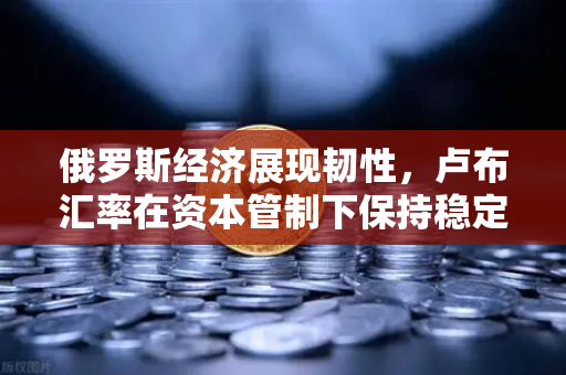 俄罗斯经济展现韧性，卢布汇率在资本管制下保持稳定，欧易交易所官网深度解析