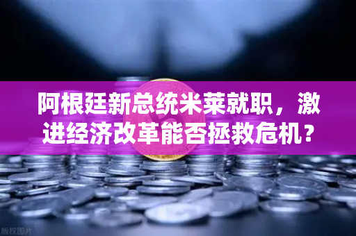 阿根廷新总统米莱就职，激进经济改革能否拯救危机？欧易交易所深度解析-第1张图片-欧易交易所