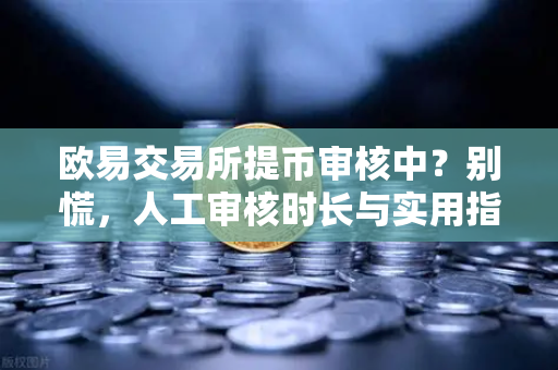 欧易交易所提币审核中？别慌，人工审核时长与实用指南全解析