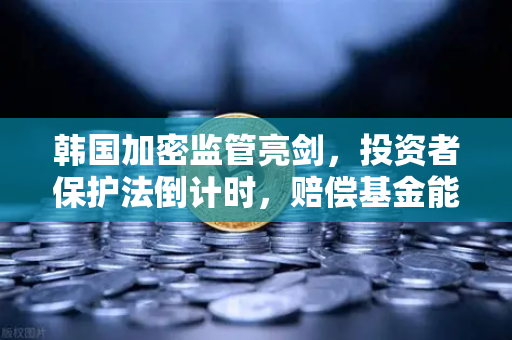 韩国加密监管亮剑，投资者保护法倒计时，赔偿基金能否托底市场信心？
