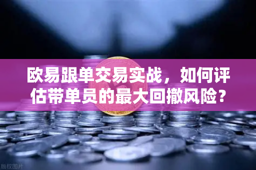 欧易跟单交易实战，如何评估带单员的最大回撤风险？-第1张图片-欧易交易所