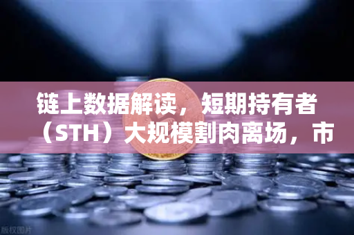 链上数据解读，短期持有者（STH）大规模割肉离场，市场见底信号已现？