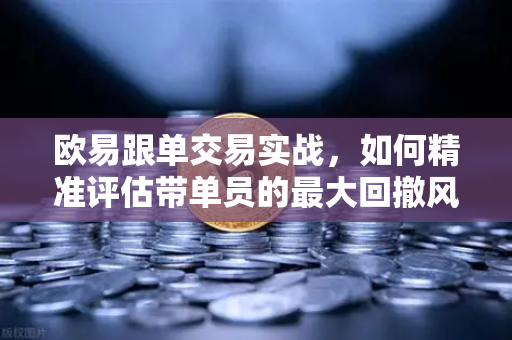 欧易跟单交易实战，如何精准评估带单员的最大回撤风险？避免爆仓级亏损的3个核心技巧-第1张图片-欧易交易所