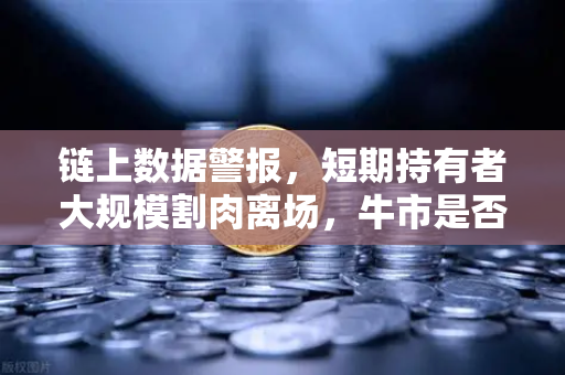 链上数据警报，短期持有者大规模割肉离场，牛市是否已终结？-第1张图片-欧易交易所