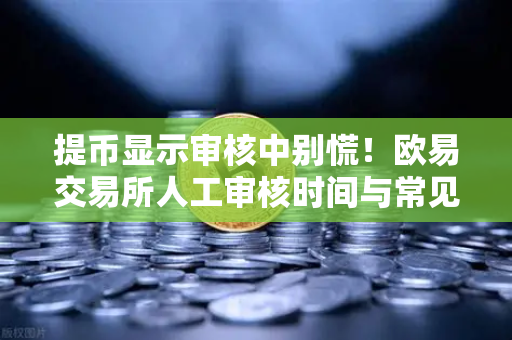 提币显示审核中别慌！欧易交易所人工审核时间与常见问题全解析
