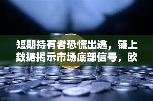 短期持有者恐慌出逃，链上数据揭示市场底部信号，欧易交易所下载趋势解析