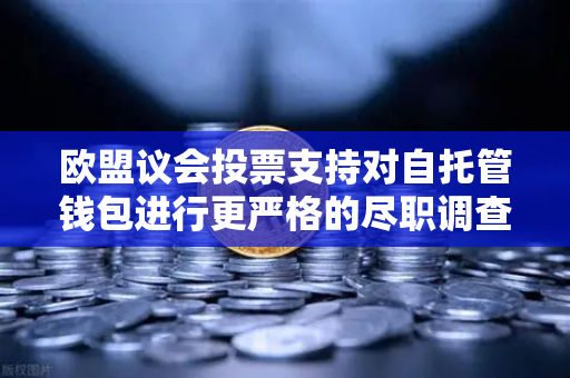 欧盟议会投票支持对自托管钱包进行更严格的尽职调查，加密世界的新变革