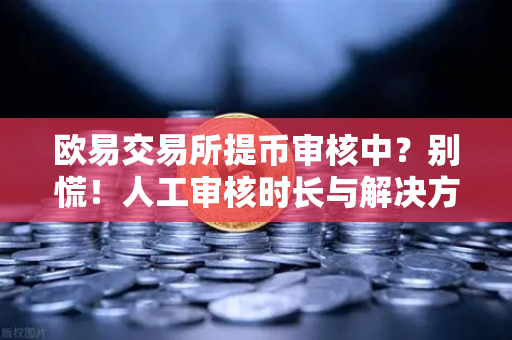 欧易交易所提币审核中？别慌！人工审核时长与解决方案全解析-第1张图片-欧易交易所