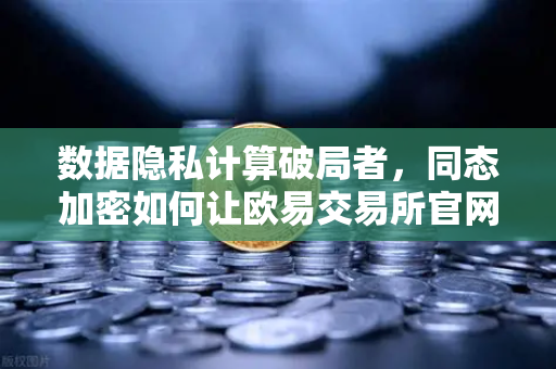 数据隐私计算破局者，同态加密如何让欧易交易所官网实现可用不可见