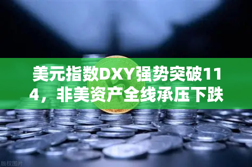 美元指数DXY强势突破114，非美资产全线承压下跌，投资者该如何应对？