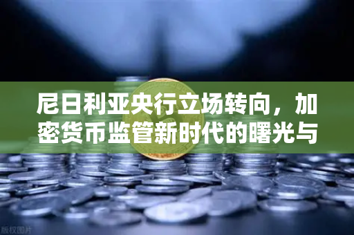 尼日利亚央行立场转向，加密货币监管新时代的曙光与欧易交易所的战略机遇