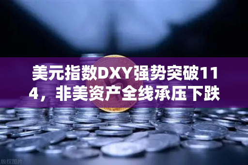 美元指数DXY强势突破114，非美资产全线承压下跌，全球资本市场的风云突变