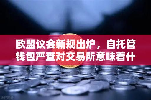 欧盟议会新规出炉，自托管钱包严查对交易所意味着什么？-第1张图片-欧易交易所