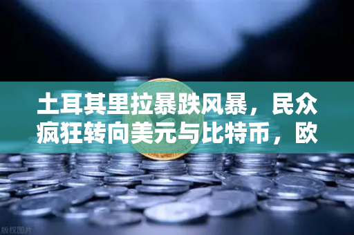 土耳其里拉暴跌风暴，民众疯狂转向美元与比特币，欧易交易所下载量激增