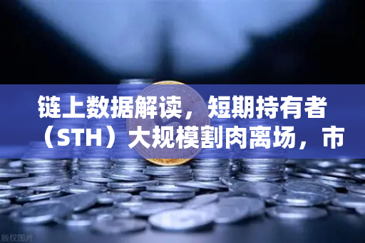链上数据解读,短期持有者(STH)大规模割肉离场,市场底在何方?-第1张图片-欧易交易所 链上数据解读,短期持有者(STH)大规模割肉离场,市场底在何方?-第1张图片-欧易交易所