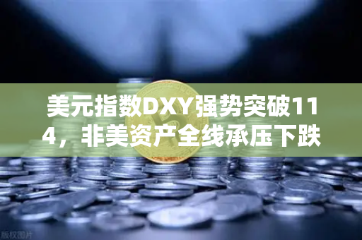 美元指数DXY强势突破114,非美资产全线承压下跌,全球市场恐慌情绪蔓延-第1张图片-欧易交易所 美元指数DXY强势突破114,非美资产全线承压下跌,全球市场恐慌情绪蔓延-第1张图片-欧易交易所