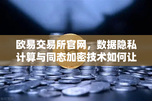 欧易交易所官网，数据隐私计算与同态加密技术如何让数据可用不可见