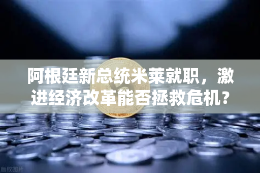 阿根廷新总统米莱就职，激进经济改革能否拯救危机？欧易交易所官网深度解析-第1张图片-欧易交易所