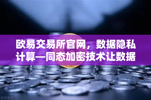 欧易交易所官网，数据隐私计算—同态加密技术让数据可用不可见