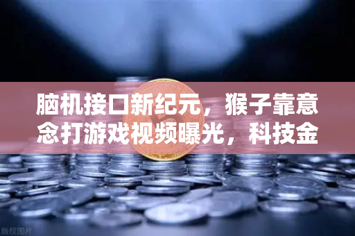 脑机接口新纪元，猴子靠意念打游戏视频曝光，科技金融如何接招？