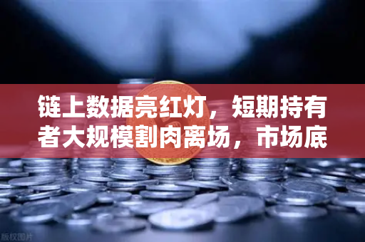链上数据亮红灯，短期持有者大规模割肉离场，市场底在何方？