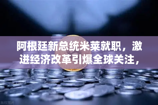 阿根廷新总统米莱就职，激进经济改革引爆全球关注，欧易交易所官网深度解析-第1张图片-欧易交易所