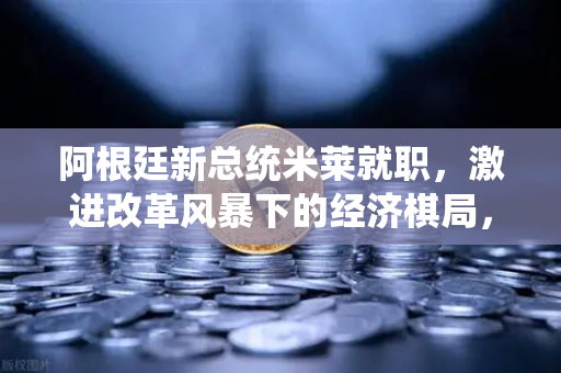 阿根廷新总统米莱就职，激进改革风暴下的经济棋局，欧易交易所官网深度解析-第1张图片-欧易交易所