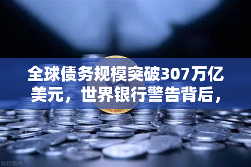 全球债务规模突破307万亿美元，世界银行警告背后，我们该如何应对？